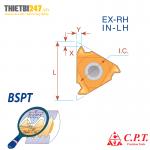 Mảnh Tiện Ren Trong Ren Trái BSPT PT Rc 55 Độ CPT